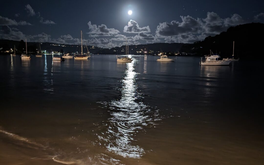 PXL_20240427_100937459.NIGHT